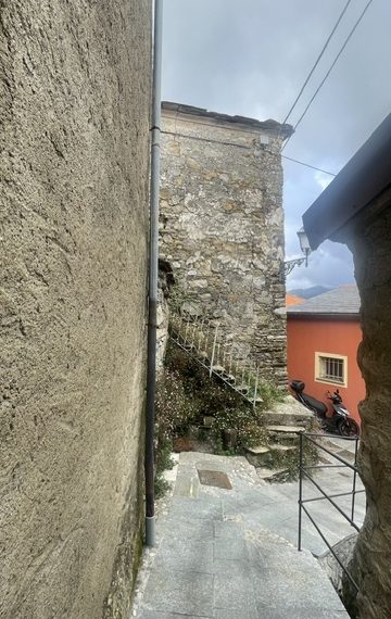 IMG_4934