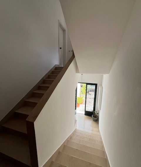 IMG_8270